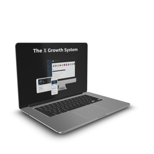 Stijn Noorman - The X Growth System