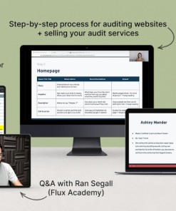 Danbee Shin - Website Audit Masterclass