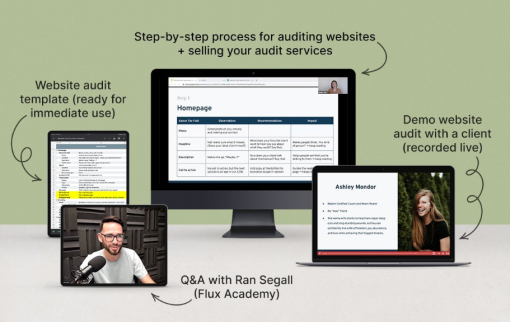 Danbee Shin - Website Audit Masterclass
