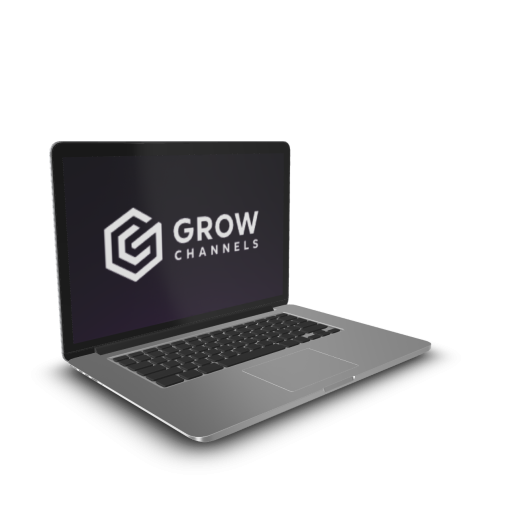 Razvan Paraschiv - Grow Channels Accelerator