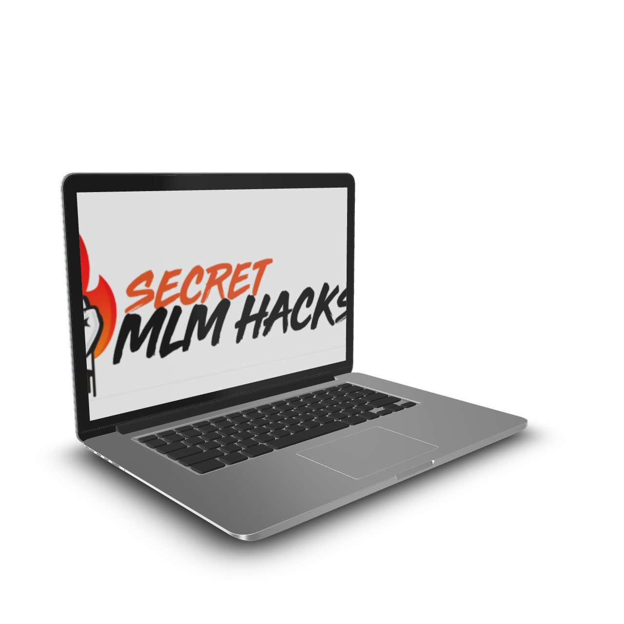 Steve J Larsen - Secret MLM Hacks 2025