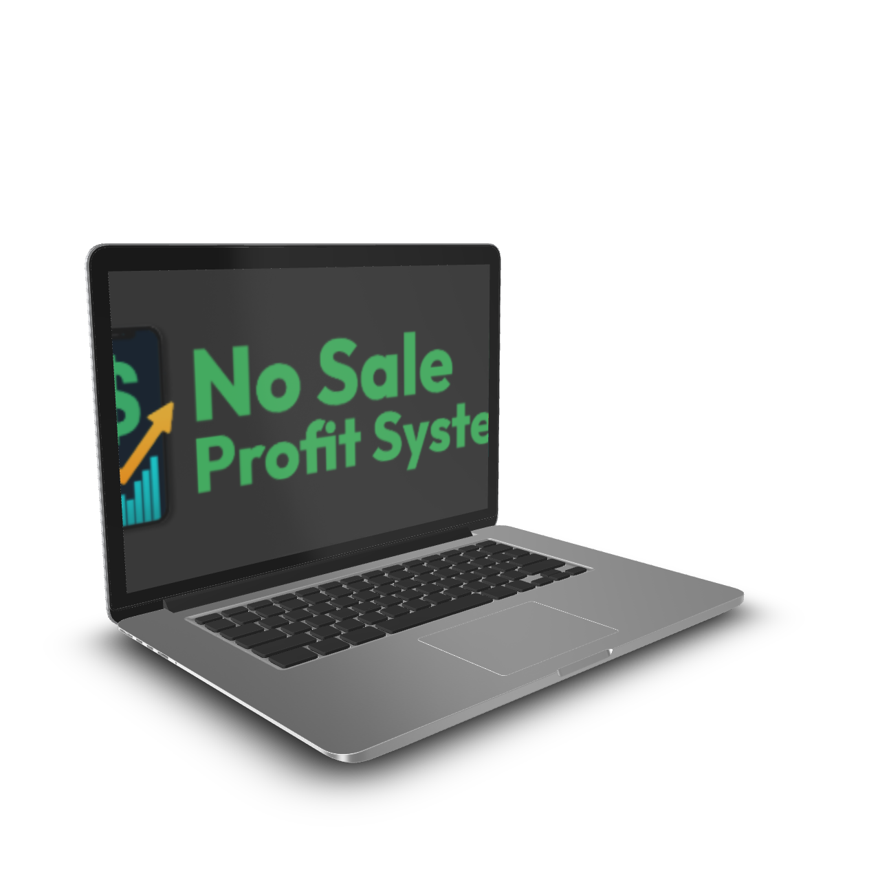 Chris Reader - No Sale Profit System