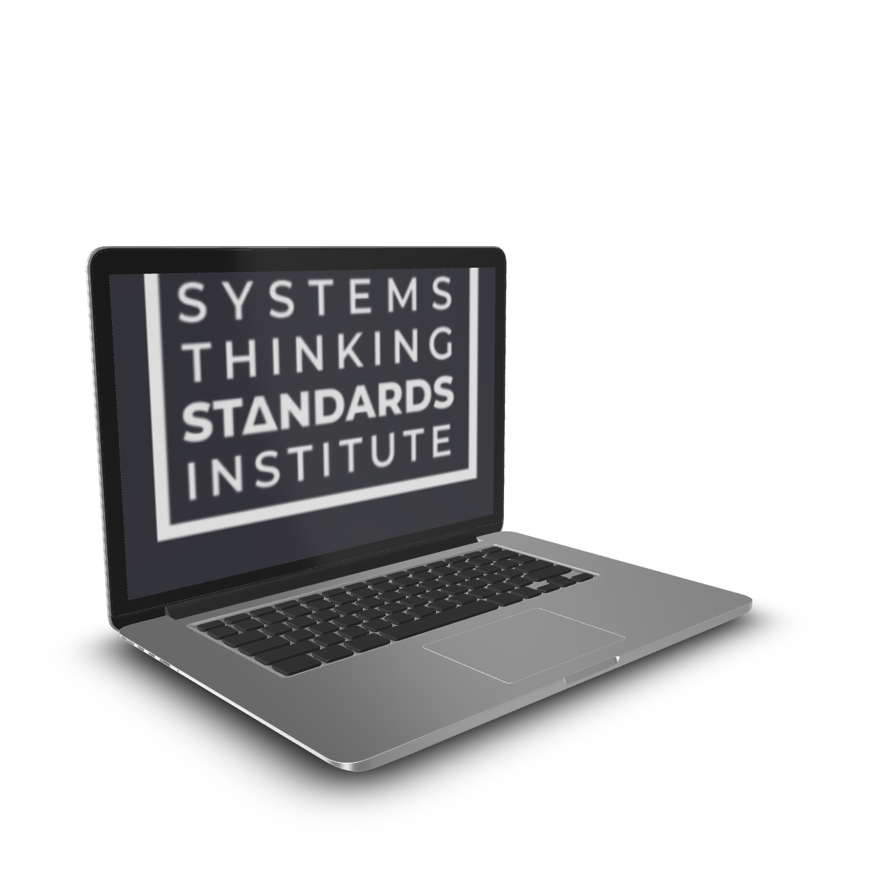 Systems Thinking Standards Institute - Blue Belt-PST