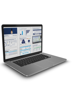 Domont Consulting - Business Plan and Entrepreneurship Toolkit