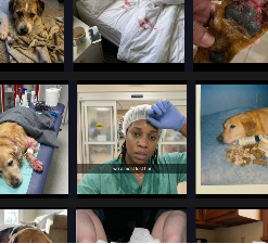 Satish Prajapati - Native Ads