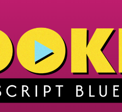 Alex Cattoni - Hooked Video Script Blueprints